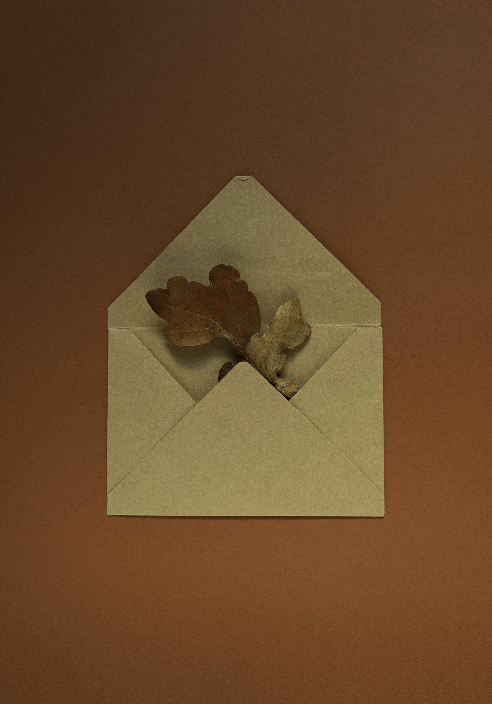 Open kraft paper envelope holding dry brown autumn oak leaves on a warm rust-brown background, a fall Thanksgiving thank-you card idea for nurses